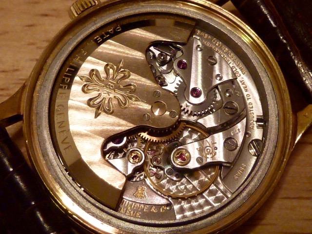 P1020576.jpg P1020576.jpg