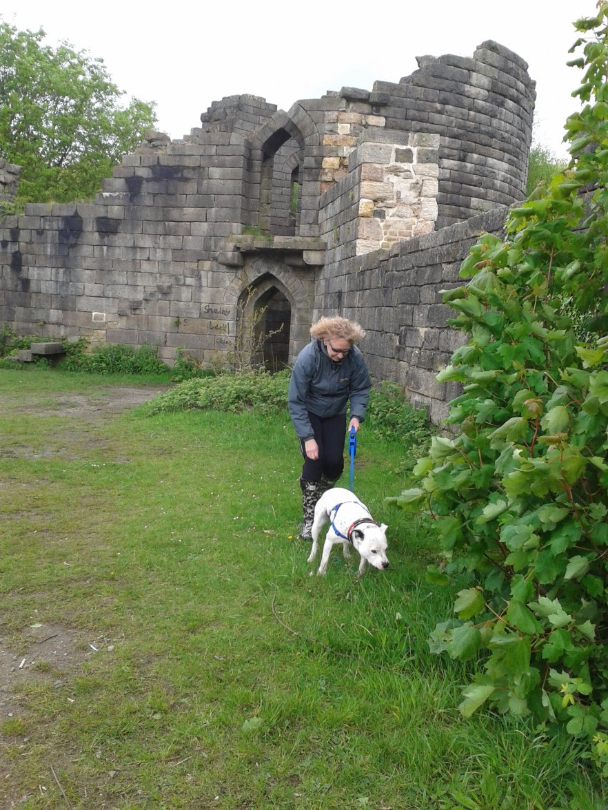 2014-05-11 13.37.48.jpg