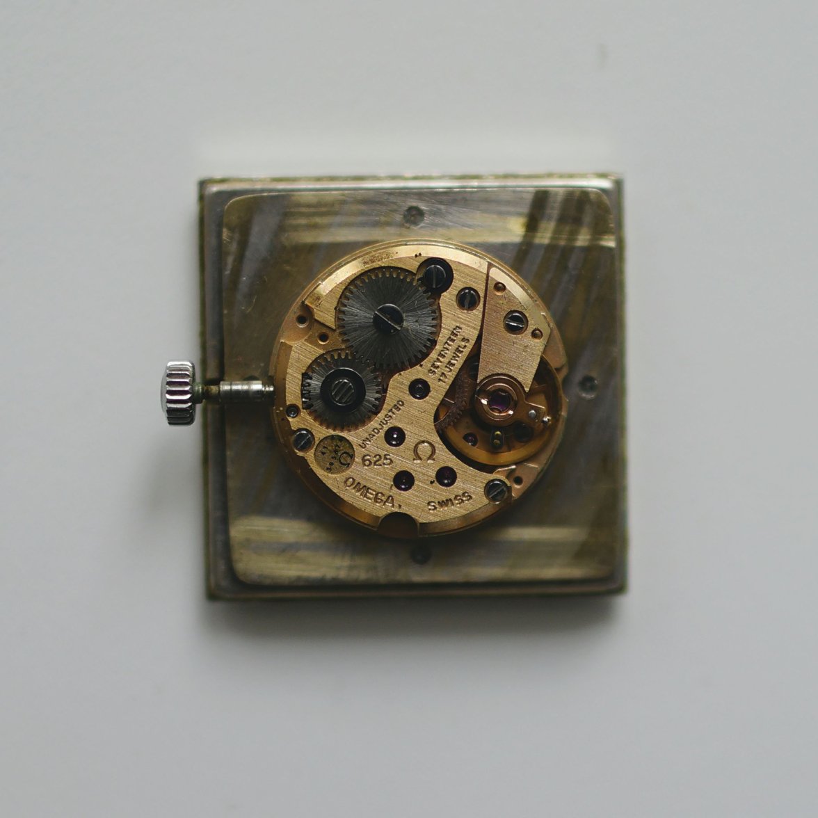 _DSC5728.JPG _DSC5728.JPG