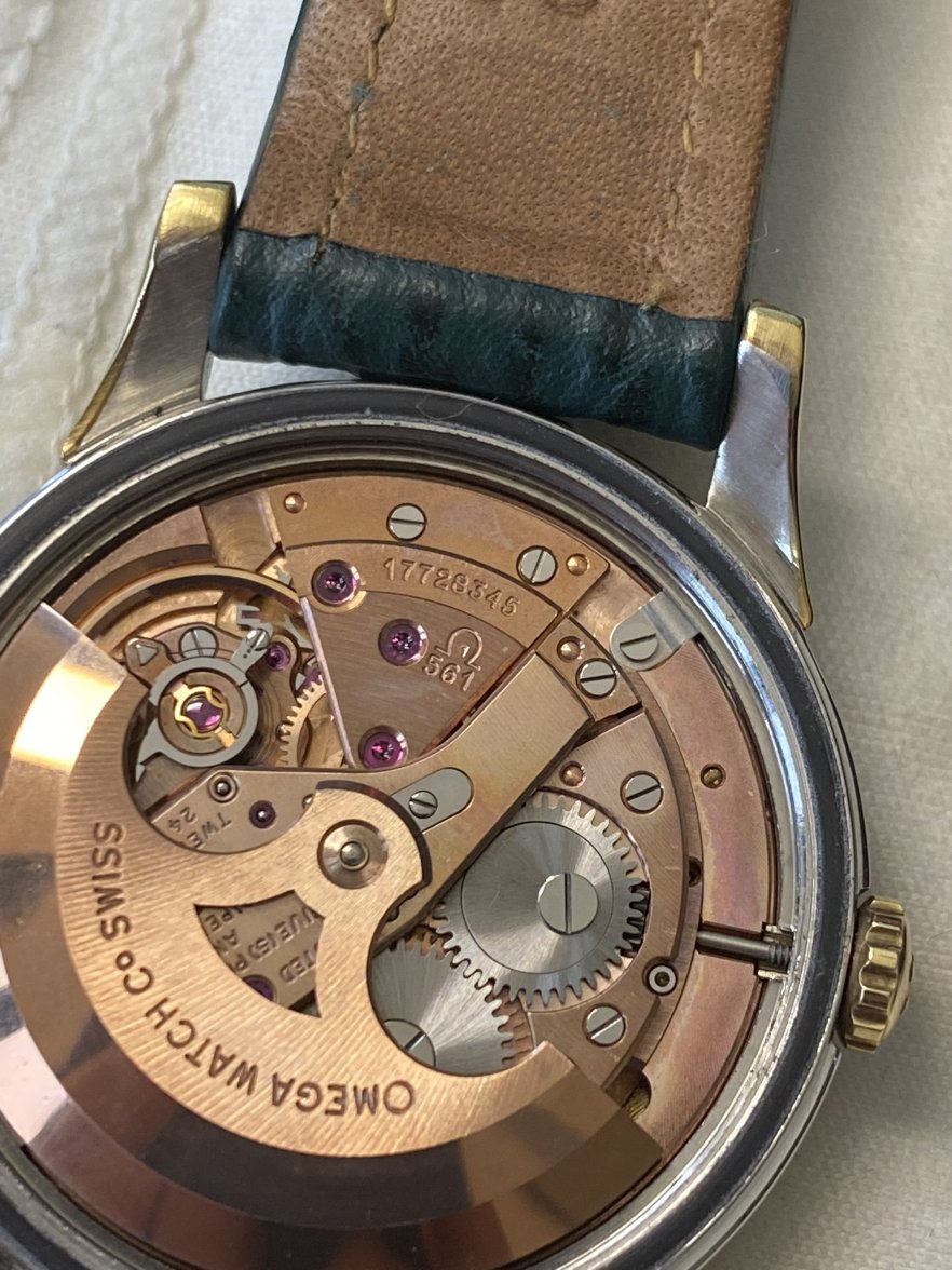 8E69123E-DE10-40EC-B0D5-BFD5DF8EB92A.jpeg 8E69123E-DE10-40EC-B0D5-BFD5DF8EB92A.jpeg