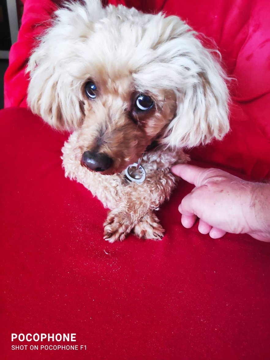 IMG_20210605_102425.jpg IMG_20210605_102425.jpg