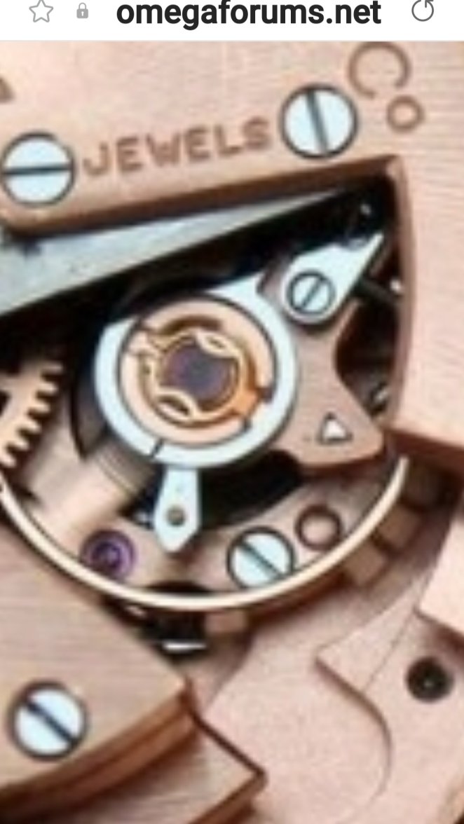 Screenshot_20230406_153734_Samsung Internet.jpg