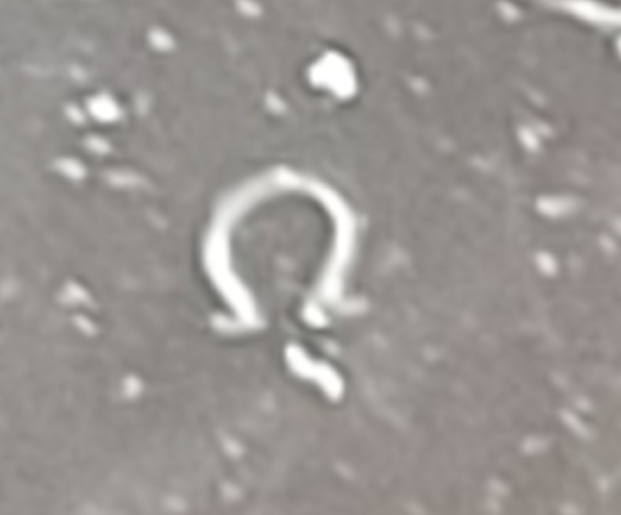 20230410_125949.jpg