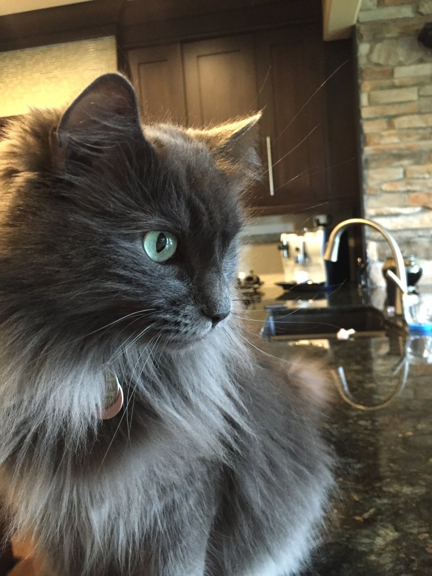 IMG_2810.JPG IMG_2810.JPG