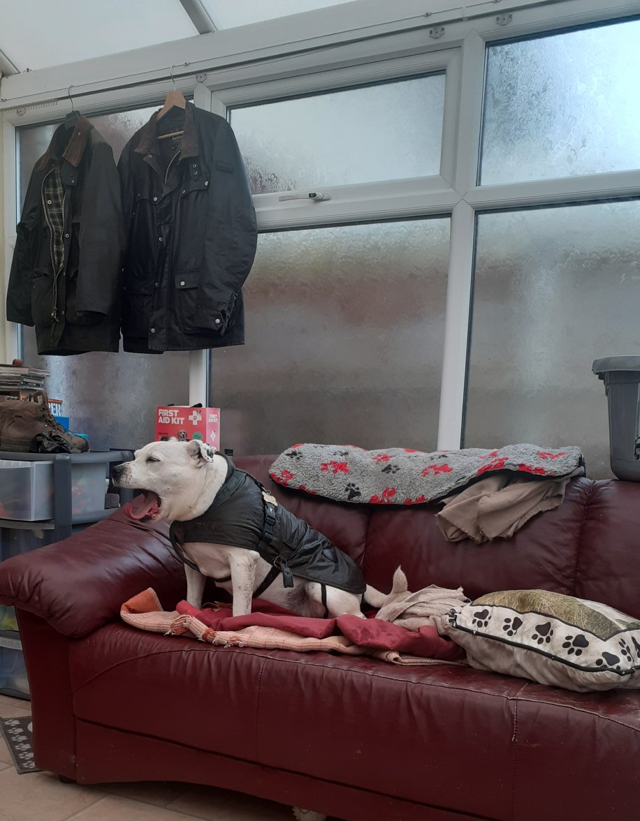 20230414_162723.jpg 20230414_162723.jpg