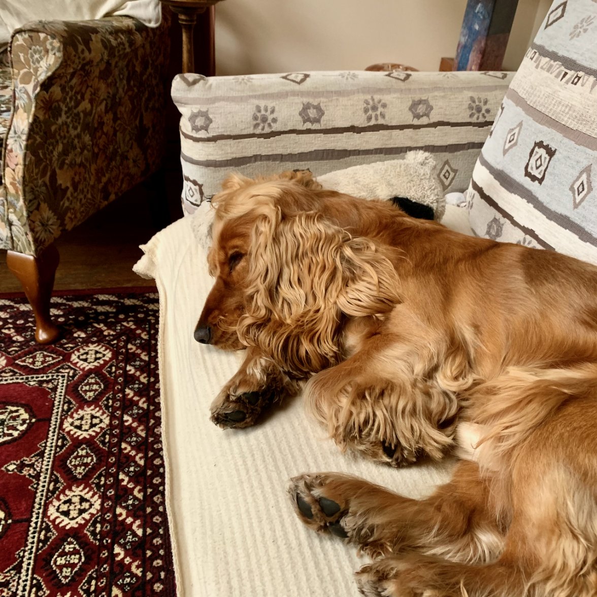 IMG_2294.jpeg IMG_2294.jpeg