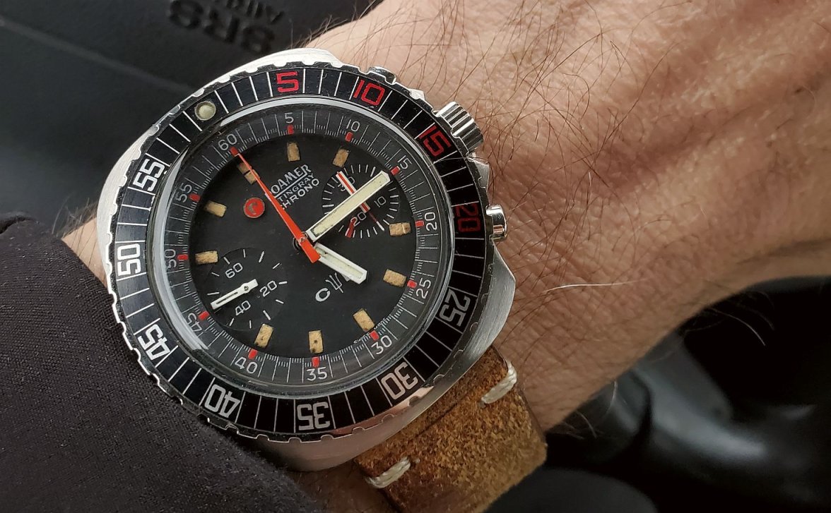 Roamer ws 1b 20230417_171447.jpg