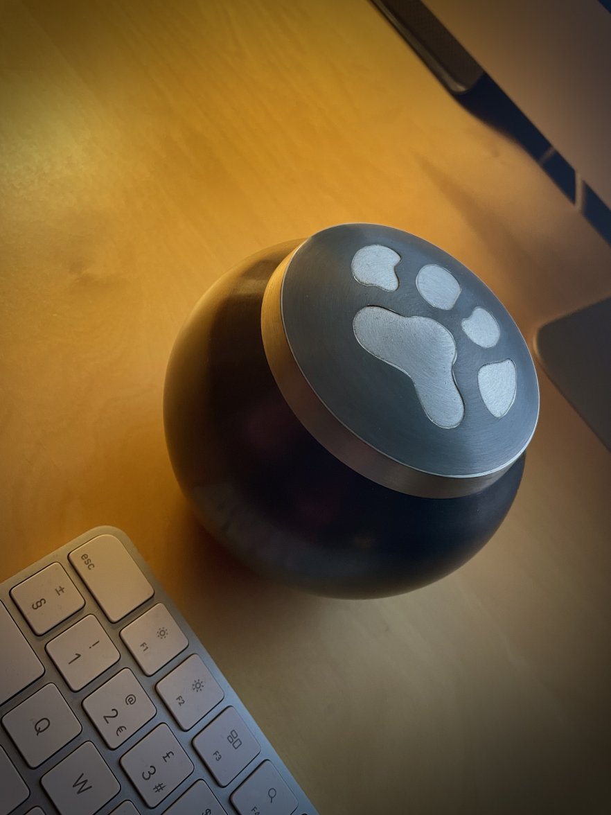 IMG_1648.jpeg IMG_1648.jpeg