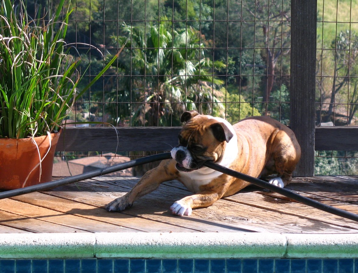 IMG_8541.JPG IMG_8541.JPG