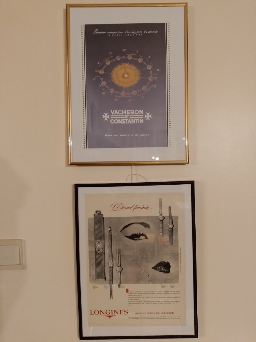 20230319_054611.jpg