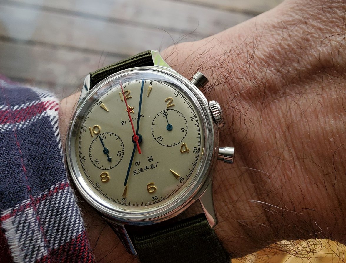 Seagull ws 1 20230429_070341.jpg