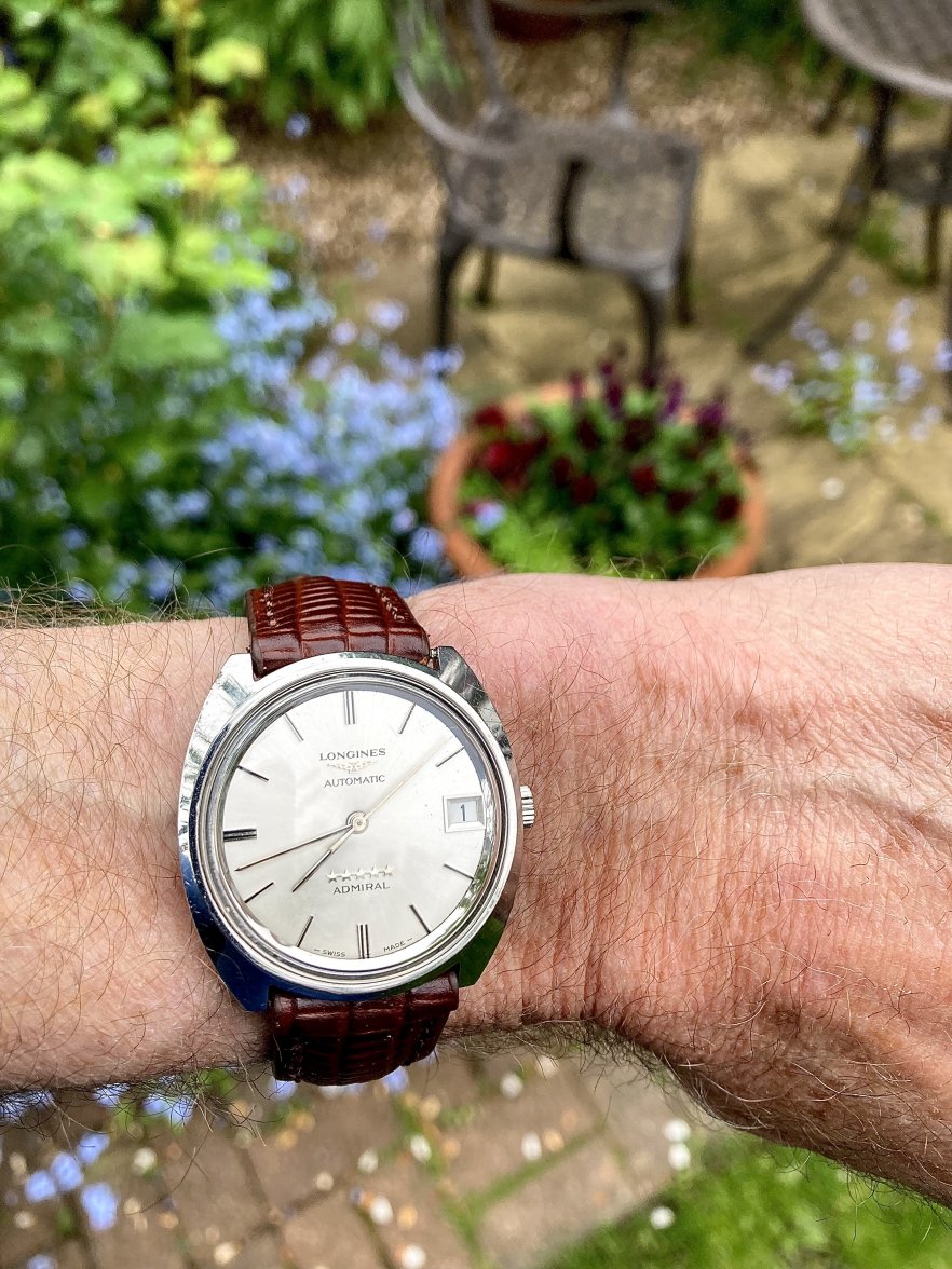 IMG_0923.jpeg IMG_0923.jpeg