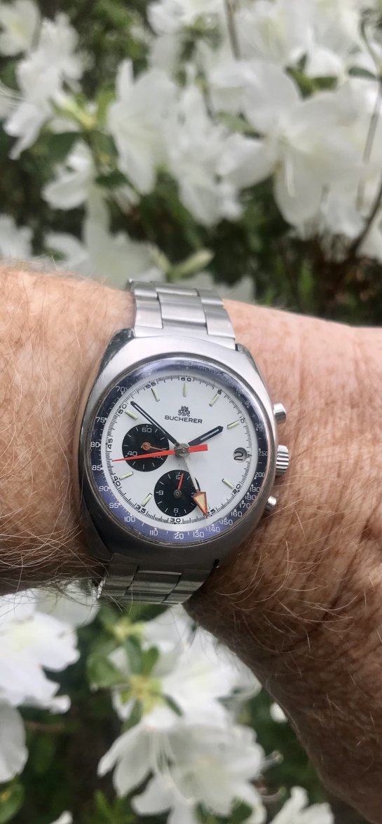 0CE857FF-EE18-4A6B-9CE7-391BB9CE172D.jpeg 0CE857FF-EE18-4A6B-9CE7-391BB9CE172D.jpeg