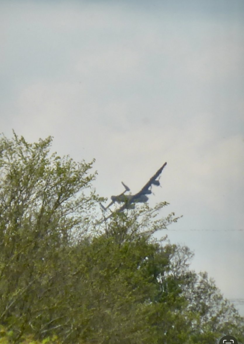 070818DA-5AEC-4364-B988-C03D428C8037.jpeg