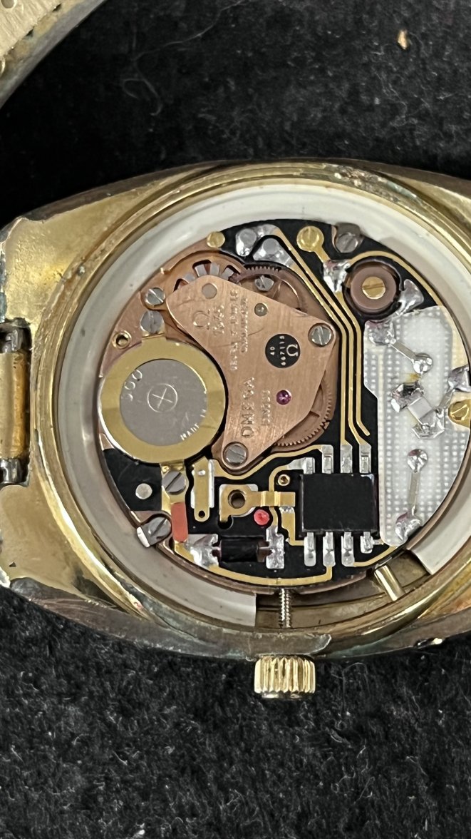 IMG_2565.jpeg IMG_2565.jpeg