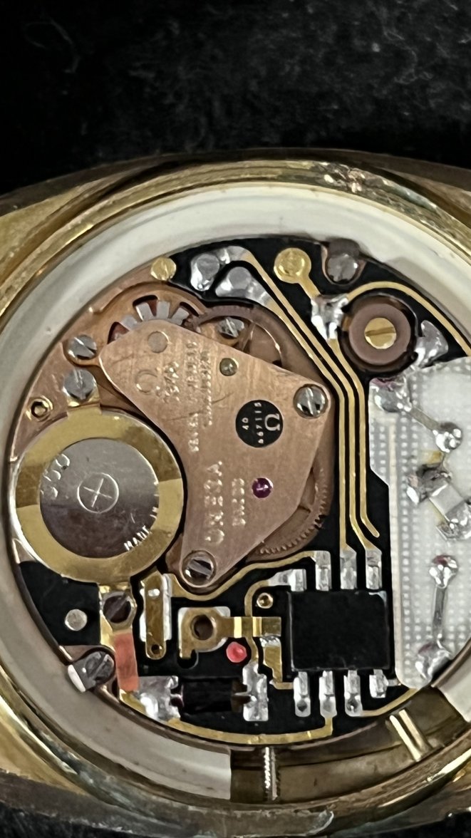 IMG_2566.jpeg IMG_2566.jpeg