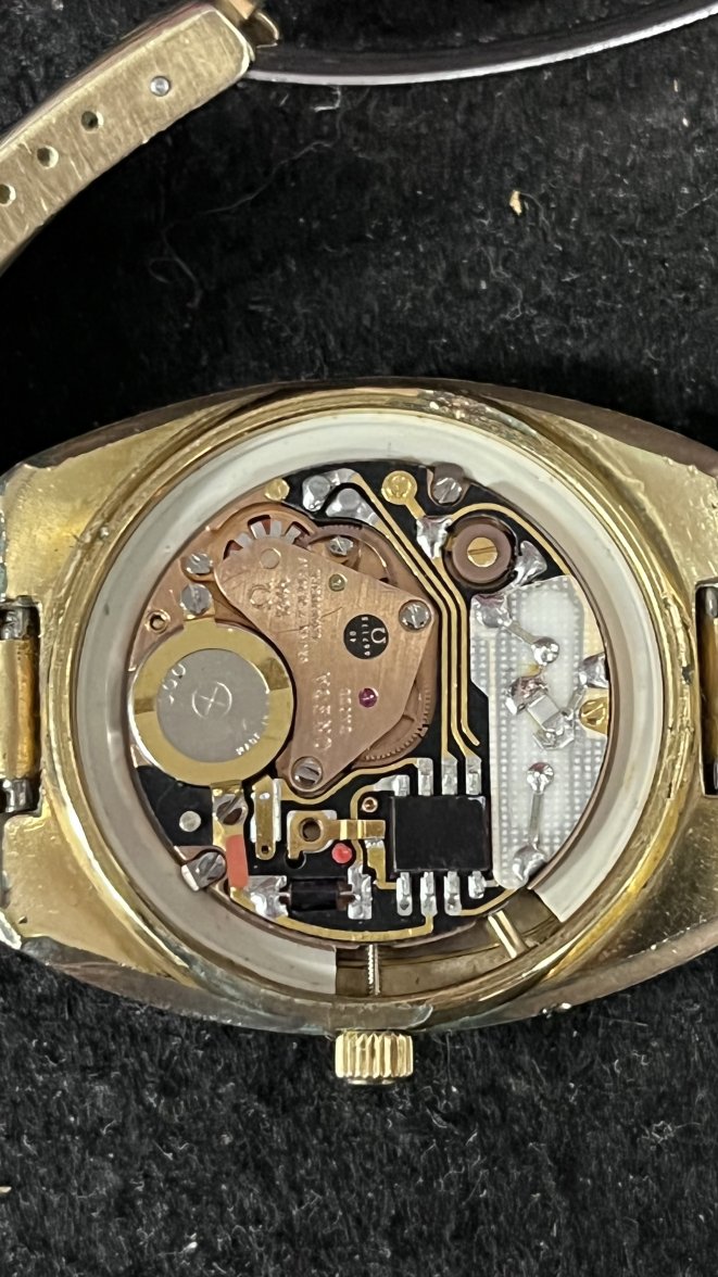 IMG_2567.jpeg IMG_2567.jpeg