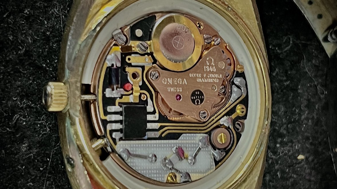 IMG_2568.jpeg IMG_2568.jpeg