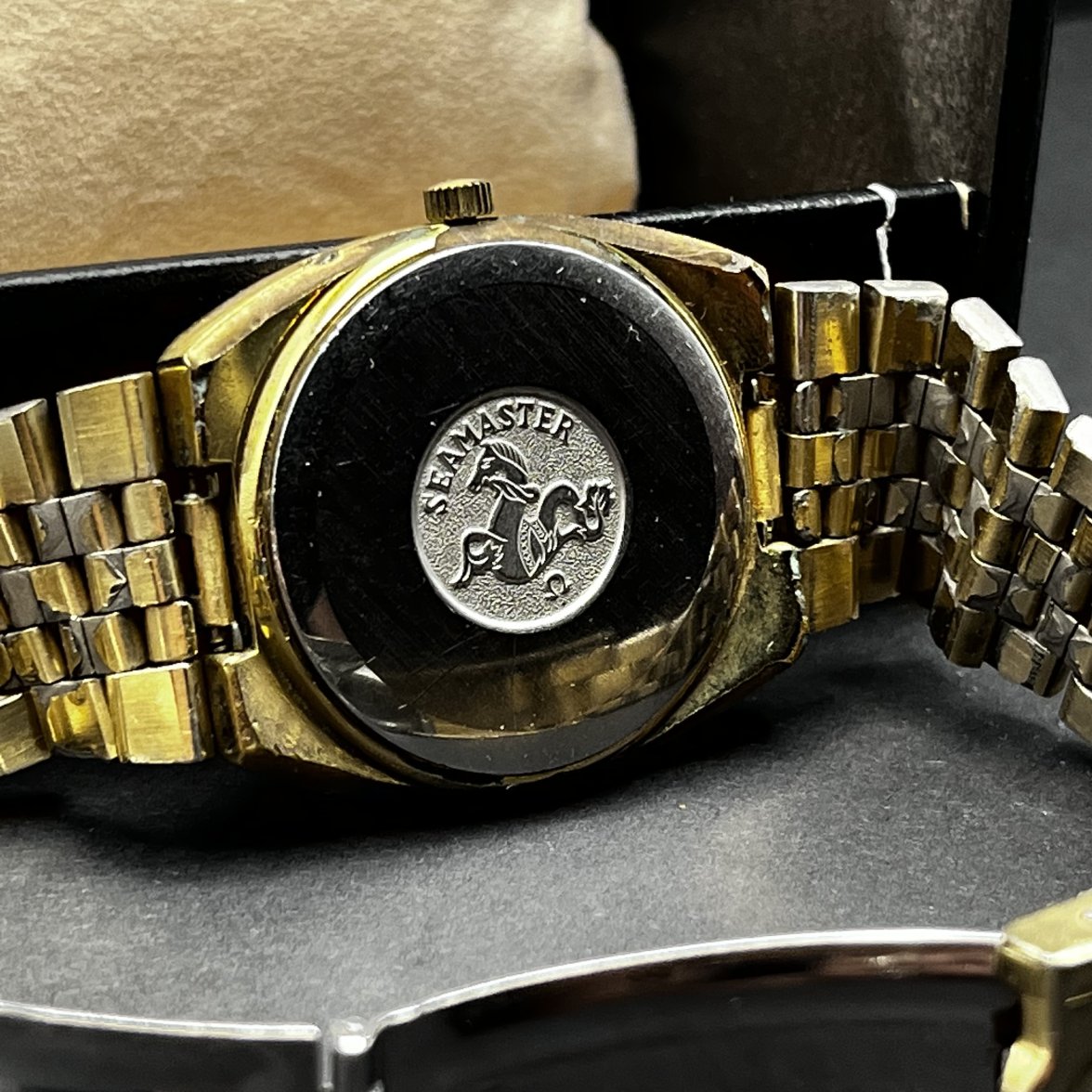 IMG_5468.jpeg IMG_5468.jpeg