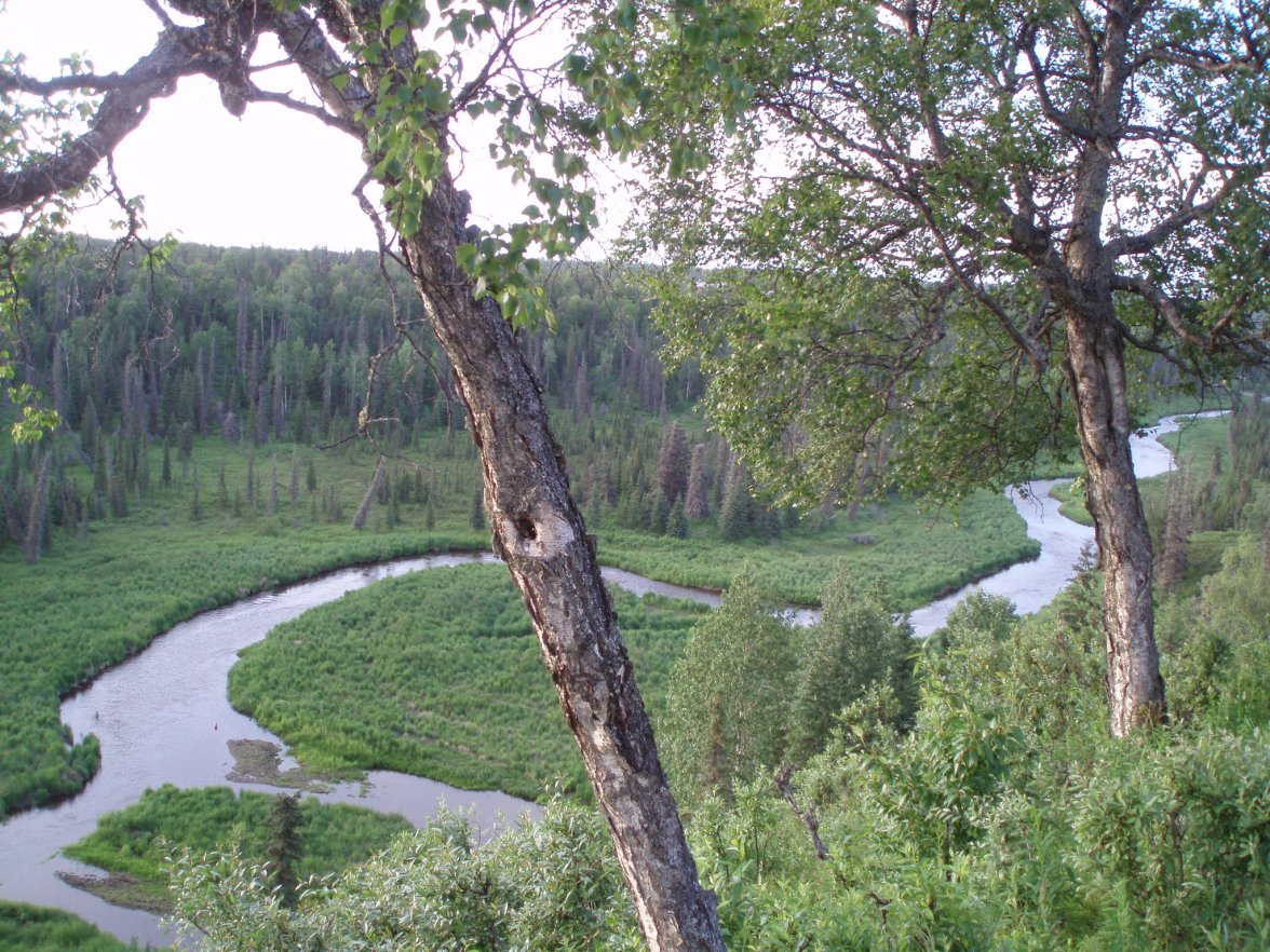 P1010412.JPG