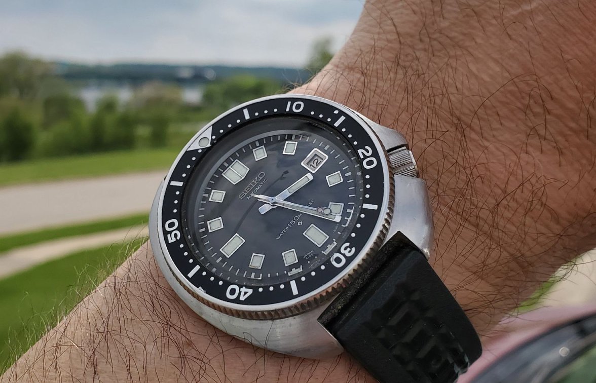 Willard ws 2 20230512_152627.jpg