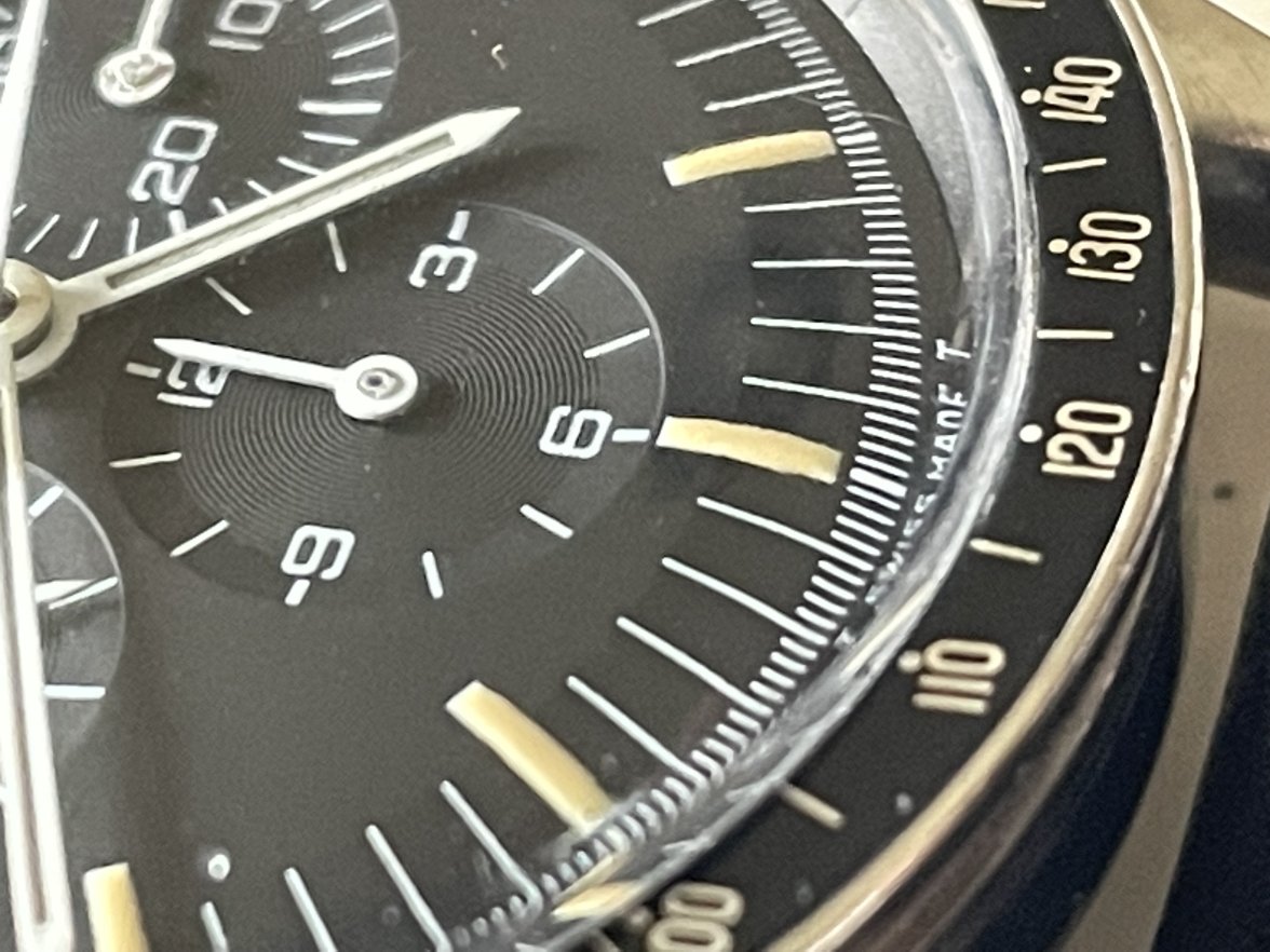 IMG_2856.jpeg IMG_2856.jpeg