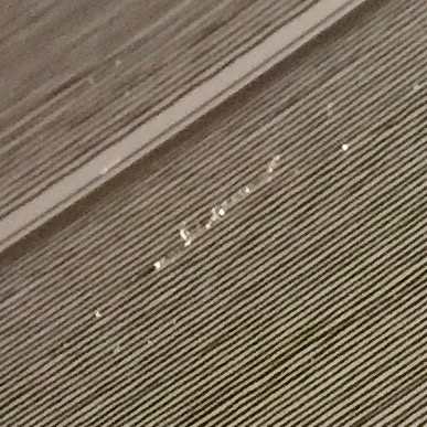 image.jpeg image.jpeg