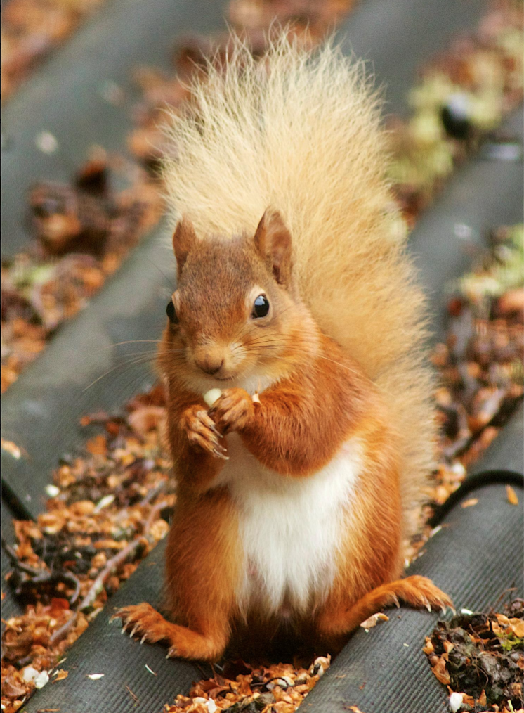 Screen Shot 2015-10-05 at 15.36.13.png