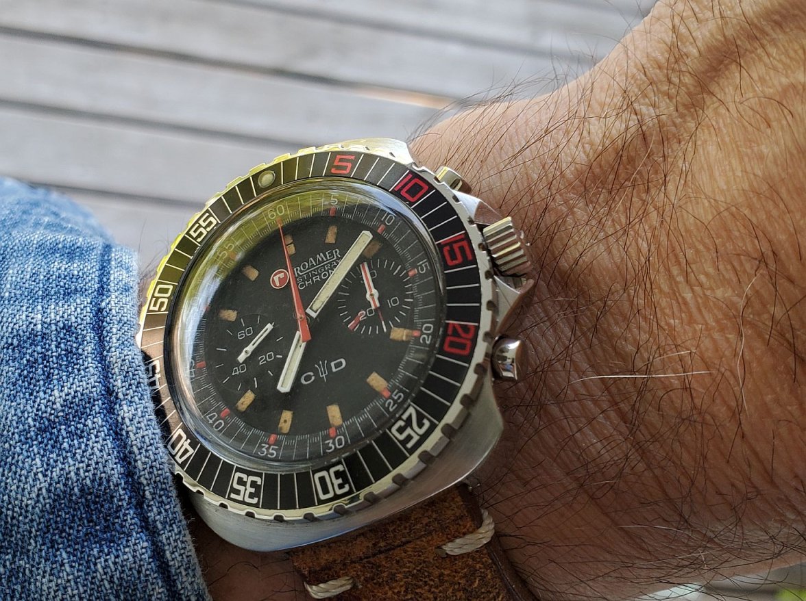 Roamer ws 1 20230521_070910.jpg