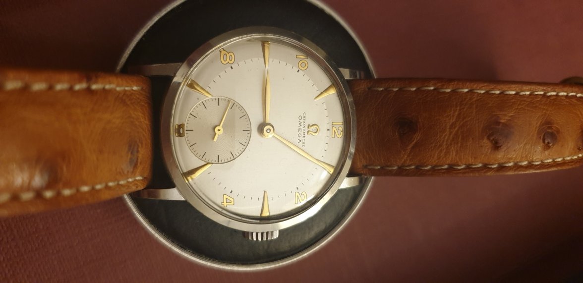 omega_7561906.jpg omega_7561906.jpg