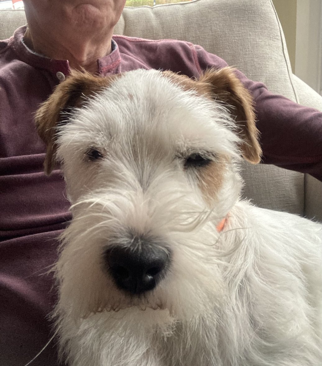 IMG_0325.jpeg IMG_0325.jpeg