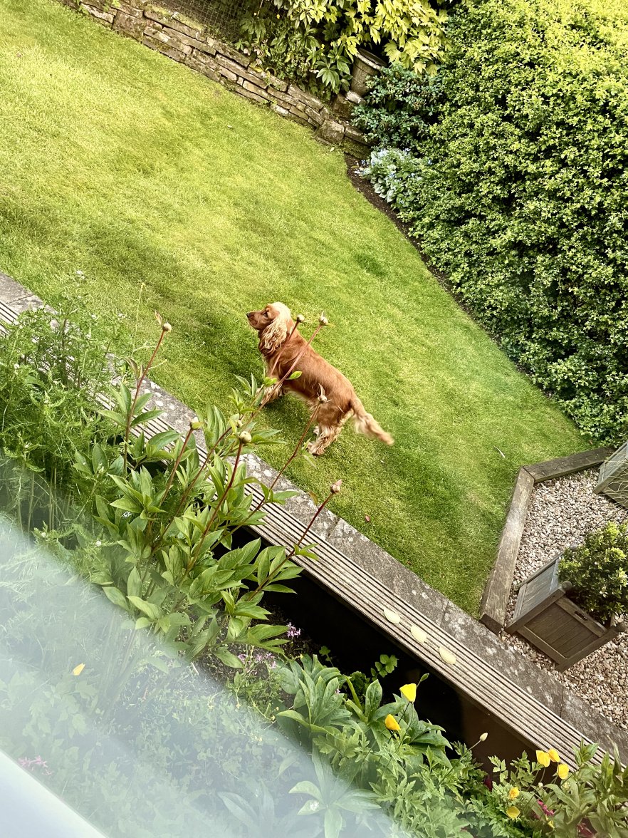 IMG_2692.jpeg IMG_2692.jpeg