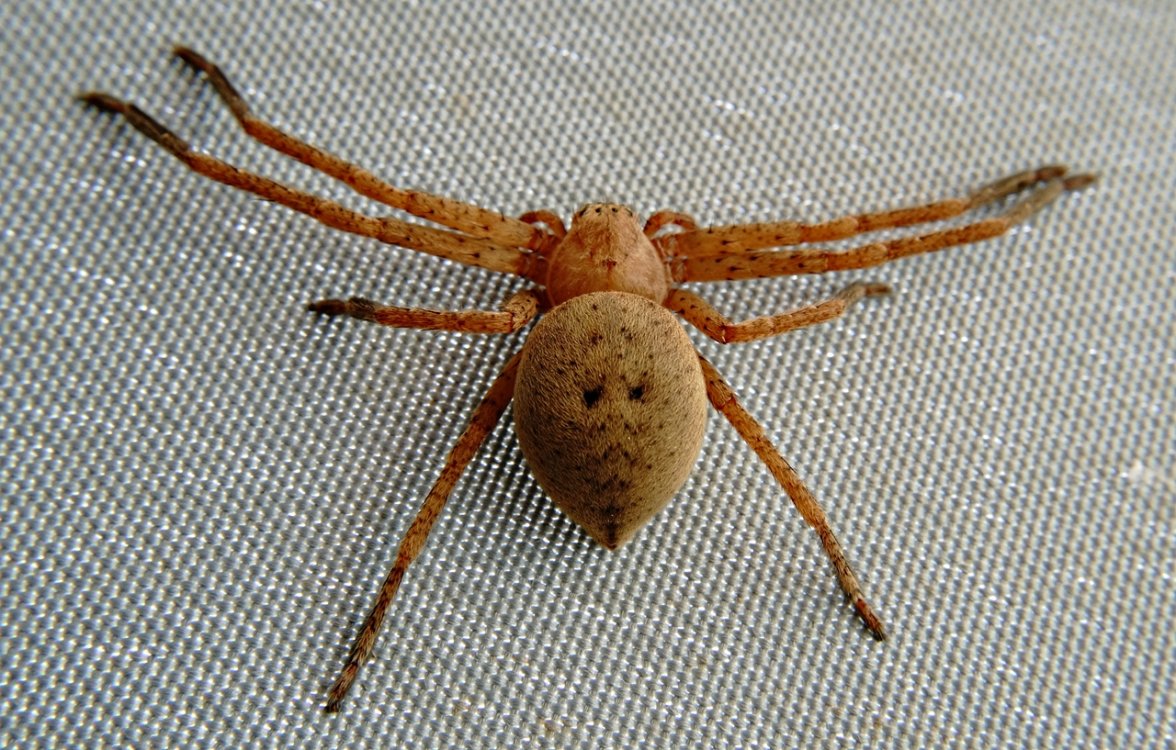 DSC09978abm.JPG DSC09978abm.JPG