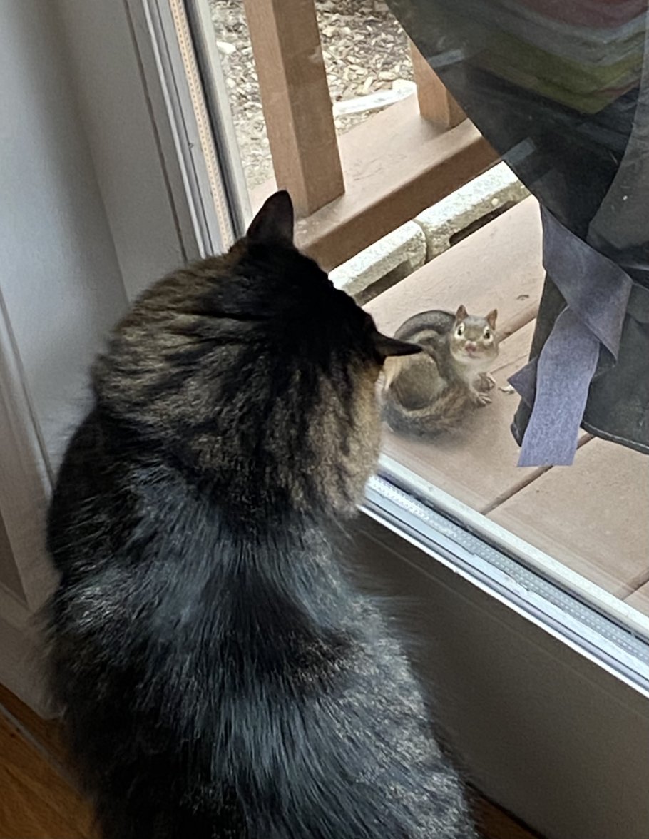 DC7C2A1F-AF68-4B36-A060-8D6B02AA1ED9.jpeg DC7C2A1F-AF68-4B36-A060-8D6B02AA1ED9.jpeg