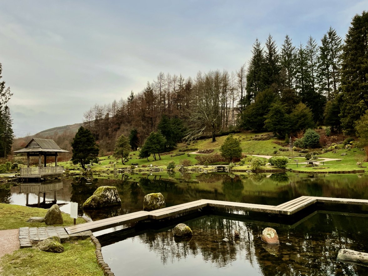 IMG_7608.jpeg IMG_7608.jpeg