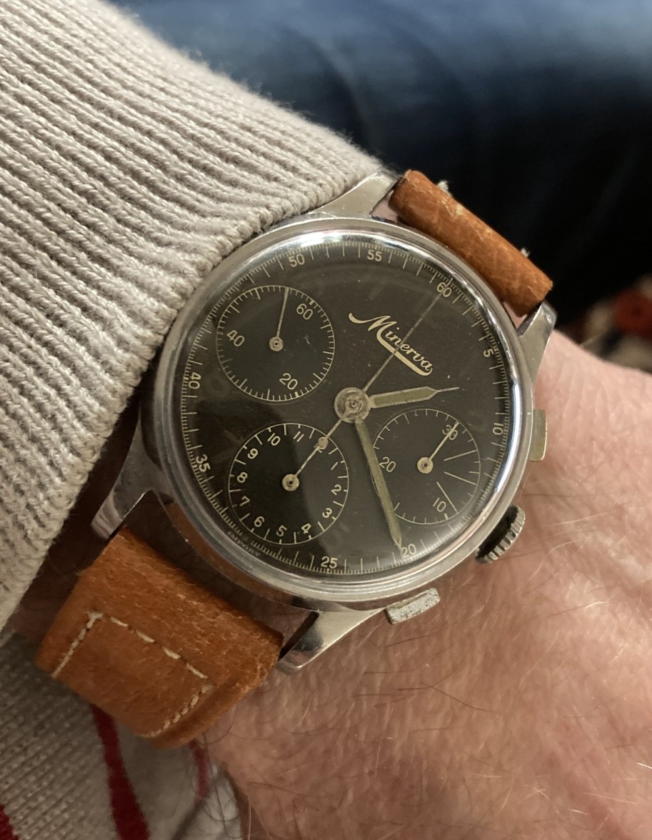 minerva on wrist03.jpg