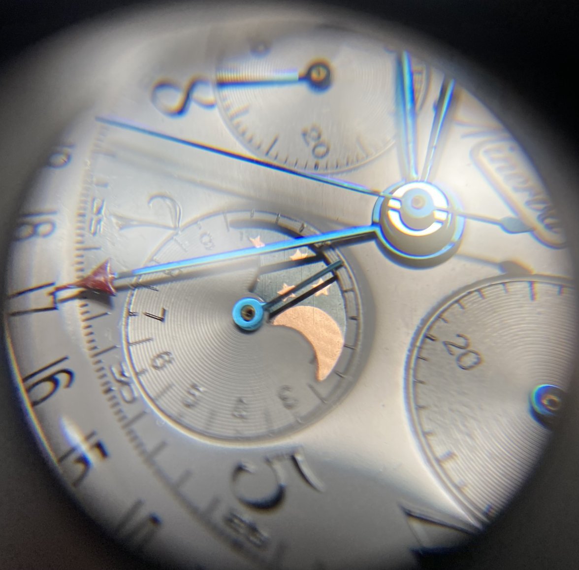 IMG_5025.jpeg IMG_5025.jpeg