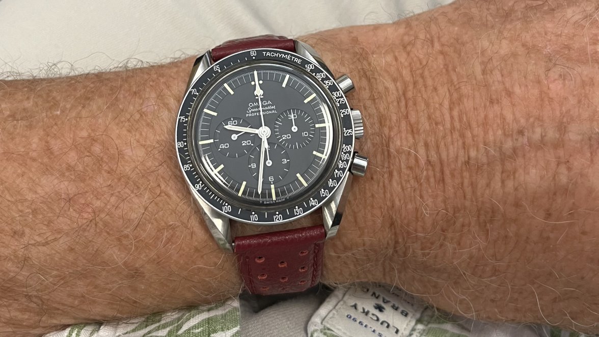 IMG_8596.jpeg IMG_8596.jpeg