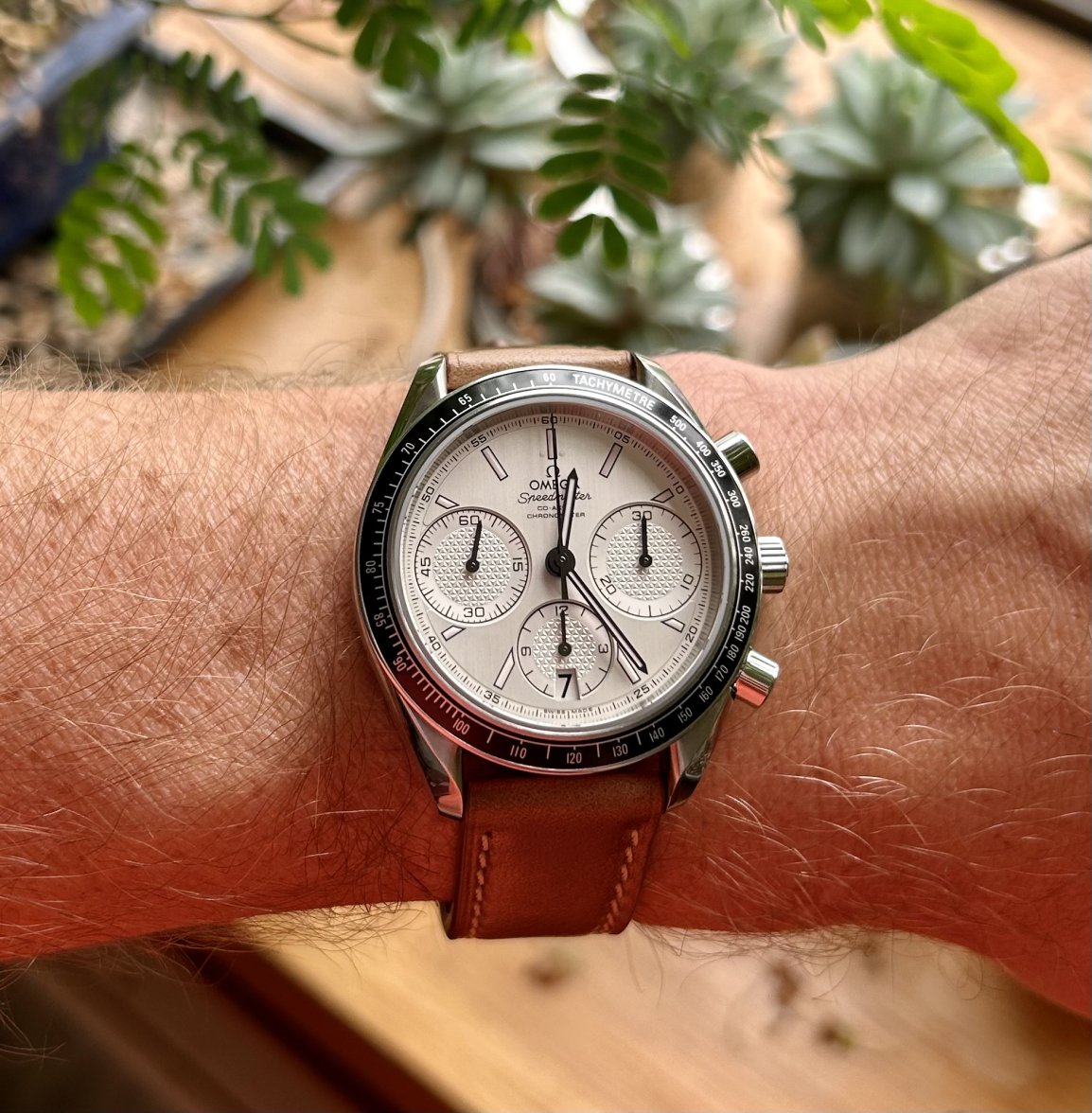 IMG_0764.jpg IMG_0764.jpg