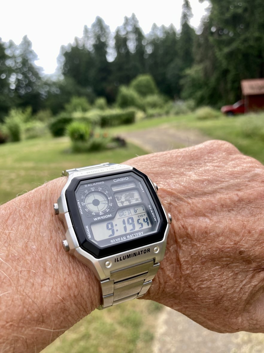 9C5C8C54-C35E-4E25-A8D2-9DAD9F98377F.jpeg 9C5C8C54-C35E-4E25-A8D2-9DAD9F98377F.jpeg