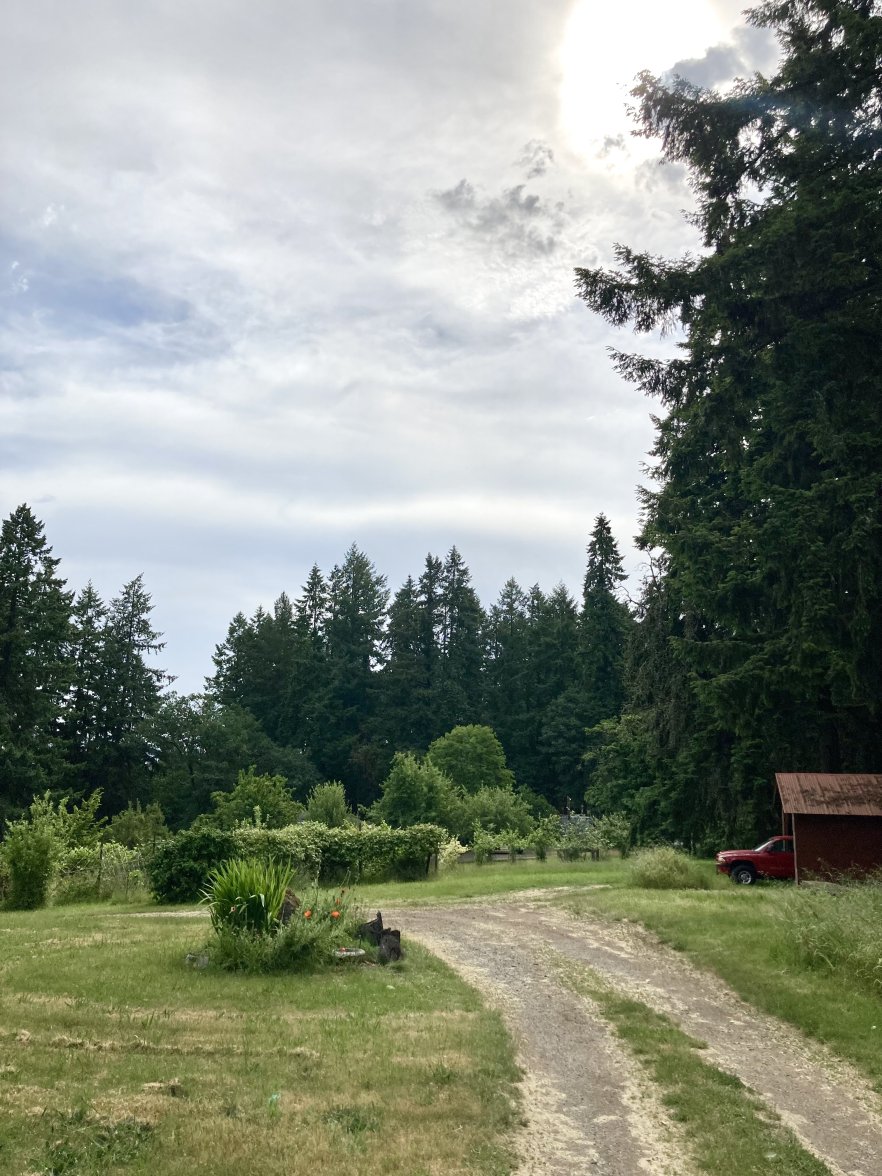 241F6E21-81AC-4C32-86F6-28262EFA06B8.jpeg 241F6E21-81AC-4C32-86F6-28262EFA06B8.jpeg