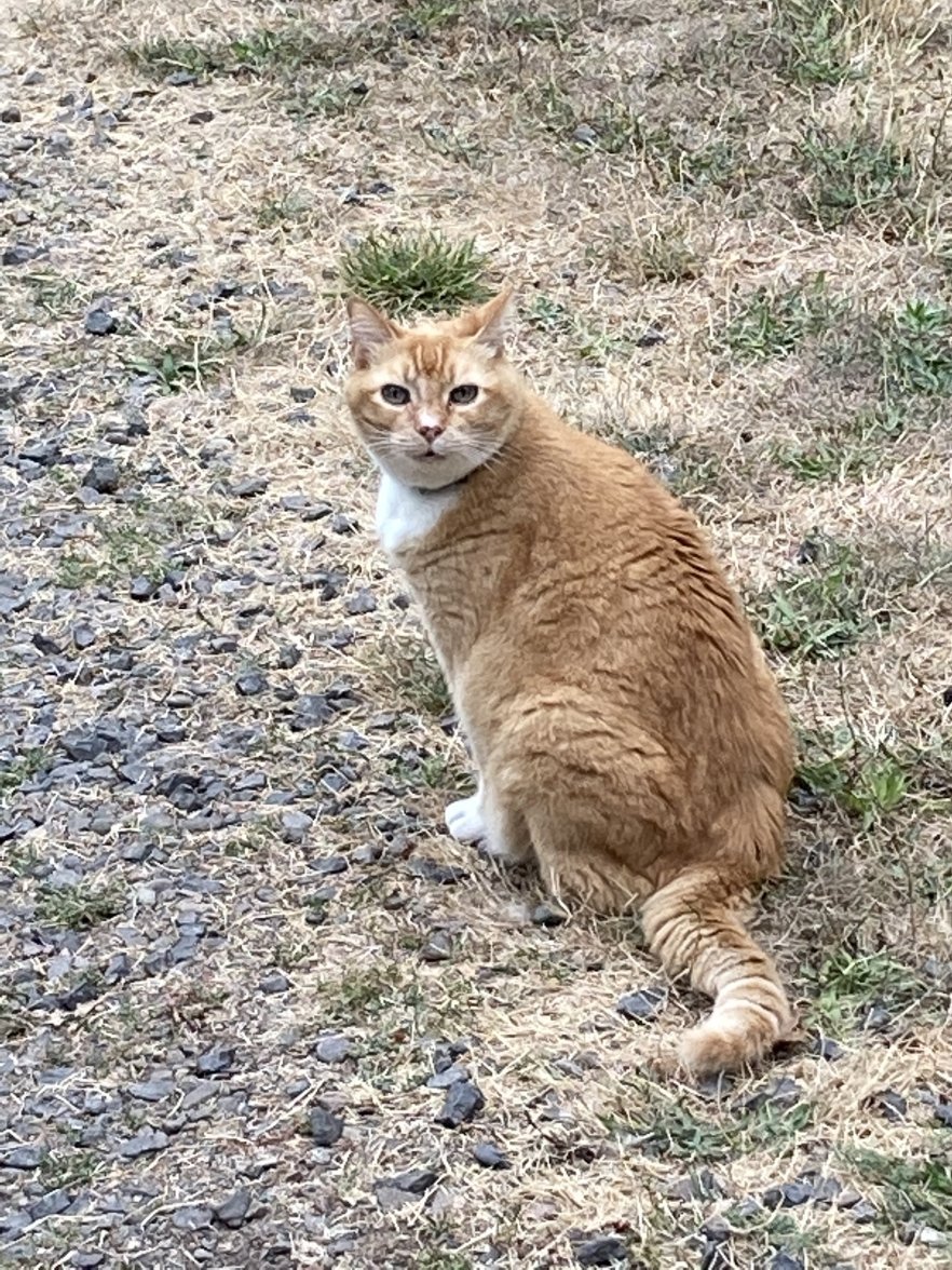 7E6D4A86-E660-40AC-B99B-E441C67DF86E.jpeg 7E6D4A86-E660-40AC-B99B-E441C67DF86E.jpeg