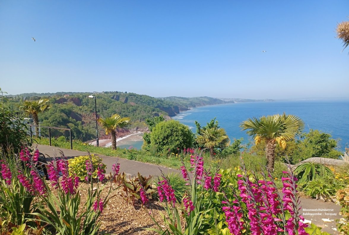 MoonwatchUniverse_TORQUAY.jpg