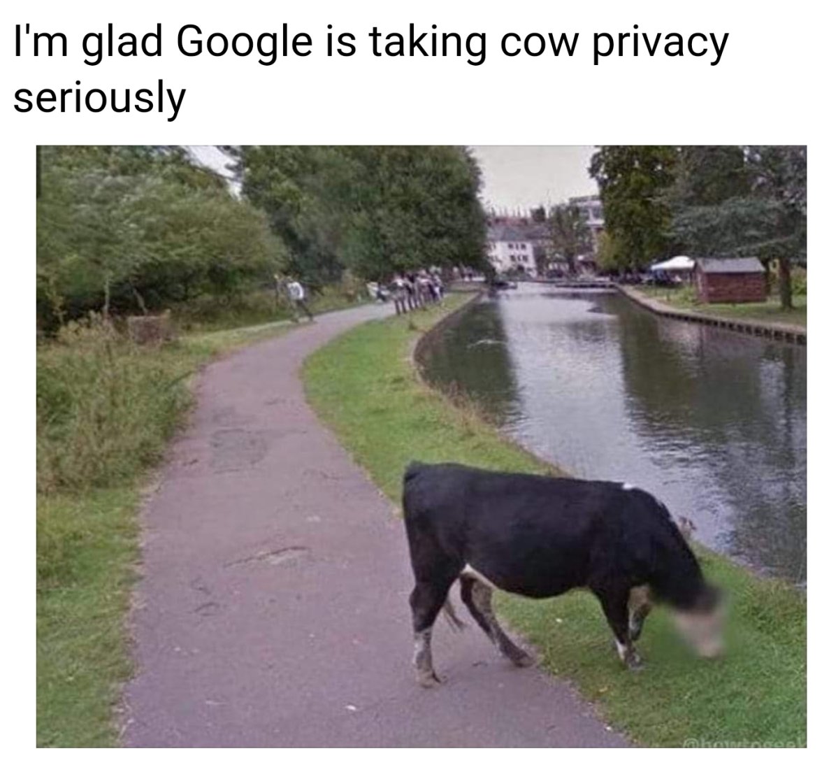 Screenshot_20230606-063759_Metal Pro.jpg