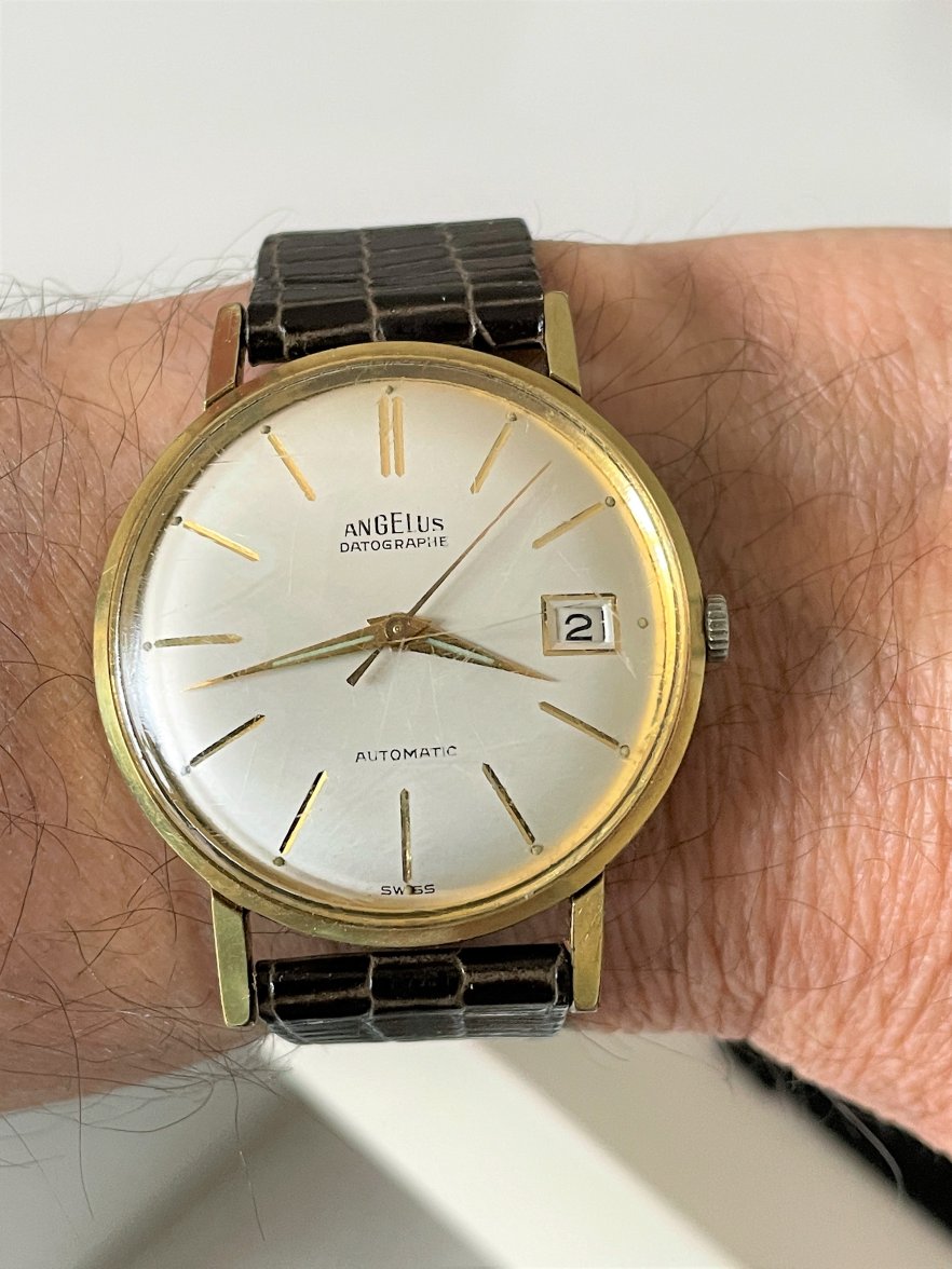 IMG_6343.JPG IMG_6343.JPG