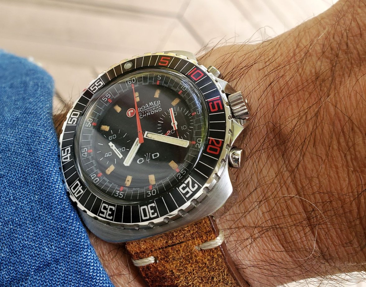 Roamer ws 2 20230618_072033.jpg