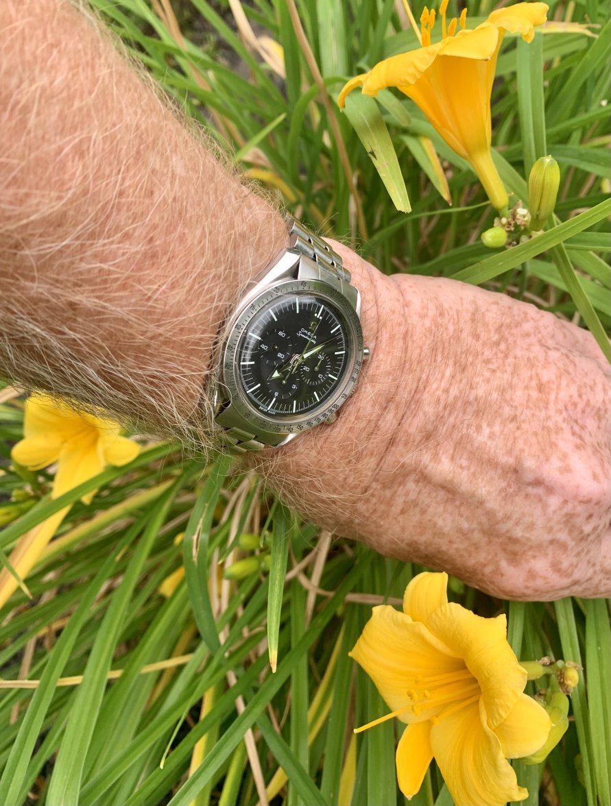 3B319945-2387-4776-B8DD-9675CBEE9249.jpeg 3B319945-2387-4776-B8DD-9675CBEE9249.jpeg