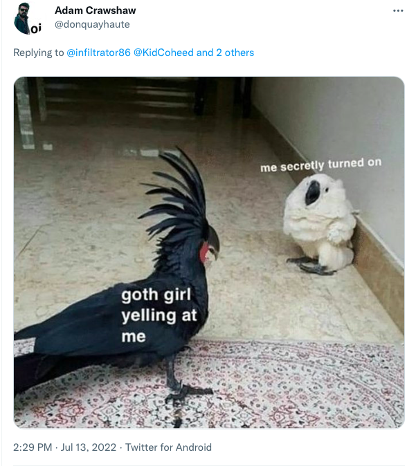 Screen Shot 2022-07-14 at 12.06.00 PM.png