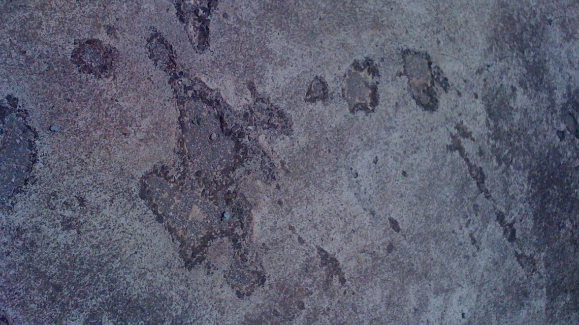 IMG_1508.png