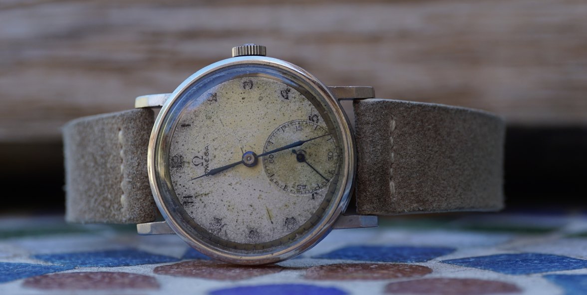 DSC03999 (1).jpeg DSC03999 (1).jpeg